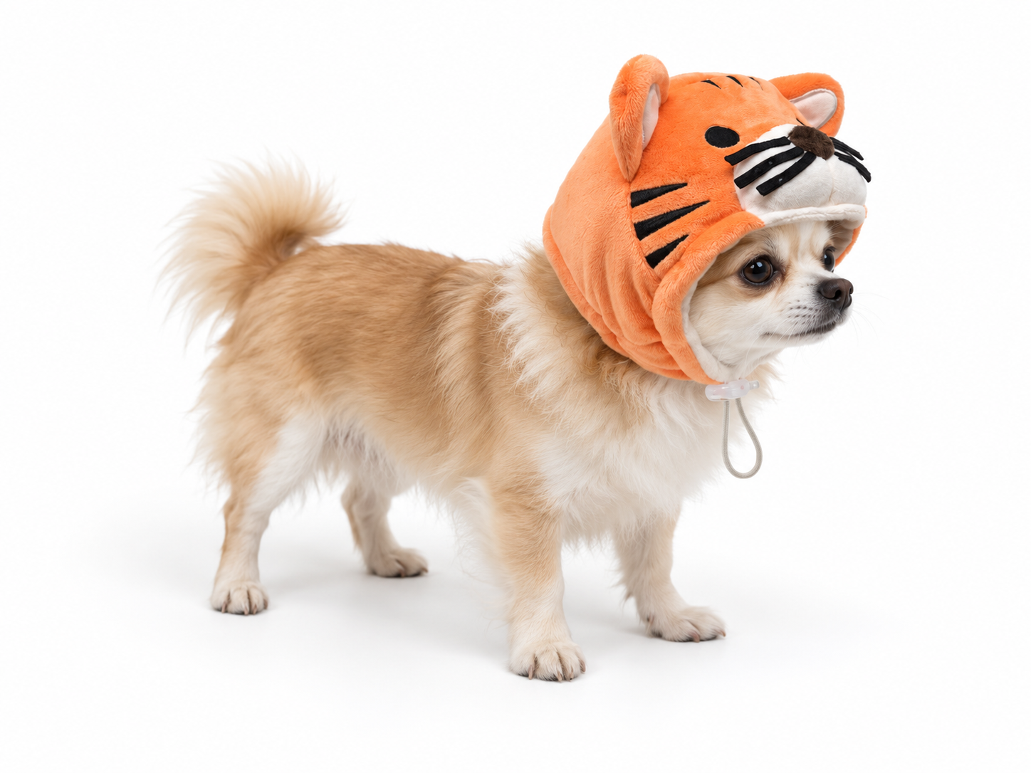 dogo